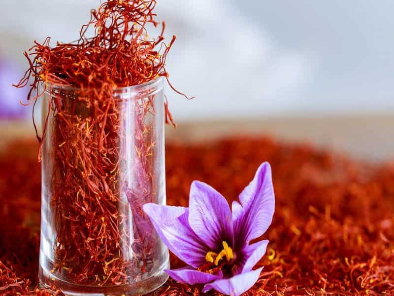 قیمت زعفران سحرخیز با کیفیت ارزان + خرید عمده